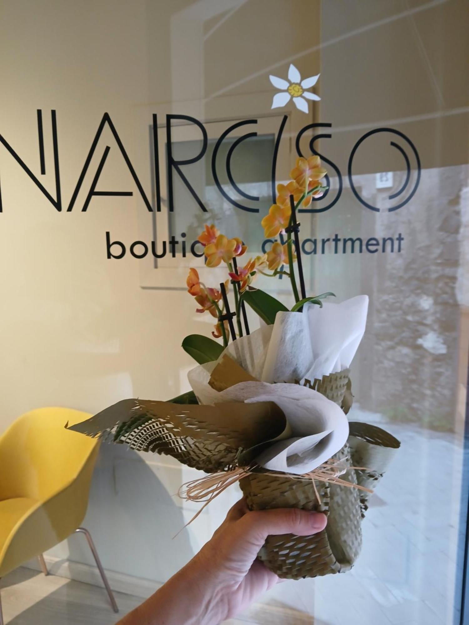 Narciso Boutique Apartment 阿奇雷亚莱 外观 照片